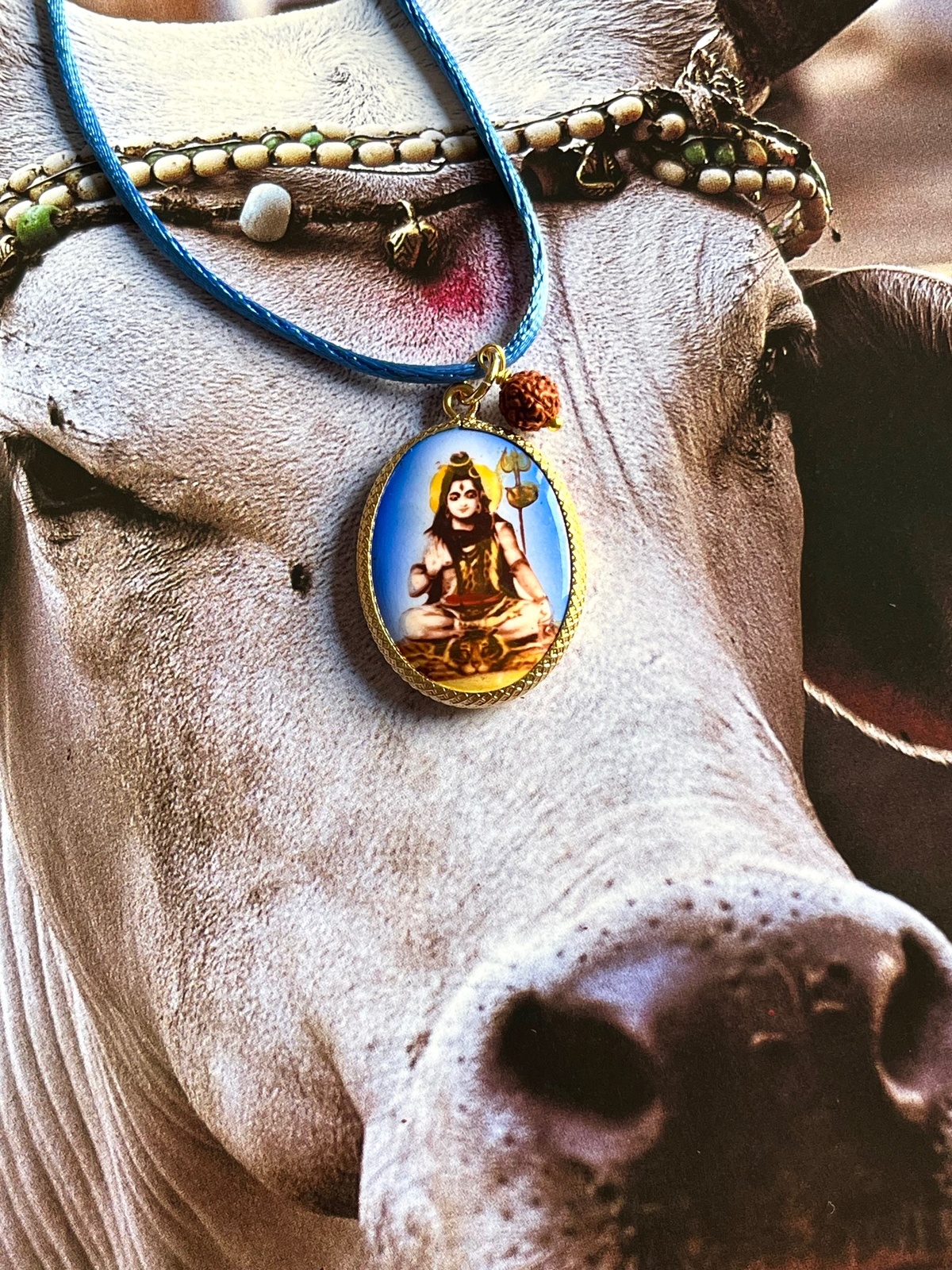 SHIVA RUDRA CORD NECKLACE